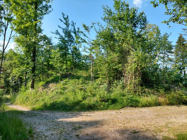 Hügelrundweg Effretikon; 4 Schlimperg