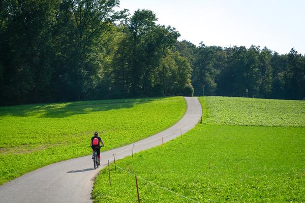 Weg in den Wald auf dem Schlieremer Berg