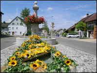 Dorf Wiesendangen