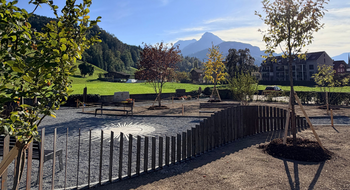 Baumfriedhof der Gemeinde Ingenbohl