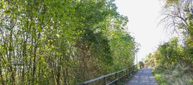 Bruggstrasse