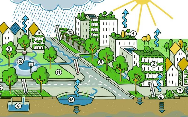 Visualisierung zum Schwammstadt-Prinzip mit den verschiedenen Elementen Wasserspeicherung, Wasserverdunstung, Begrünung und Hitzeminderung.