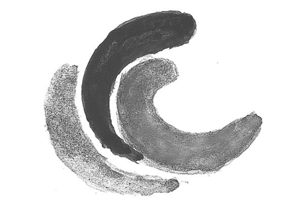 Logo Seniorenforum
