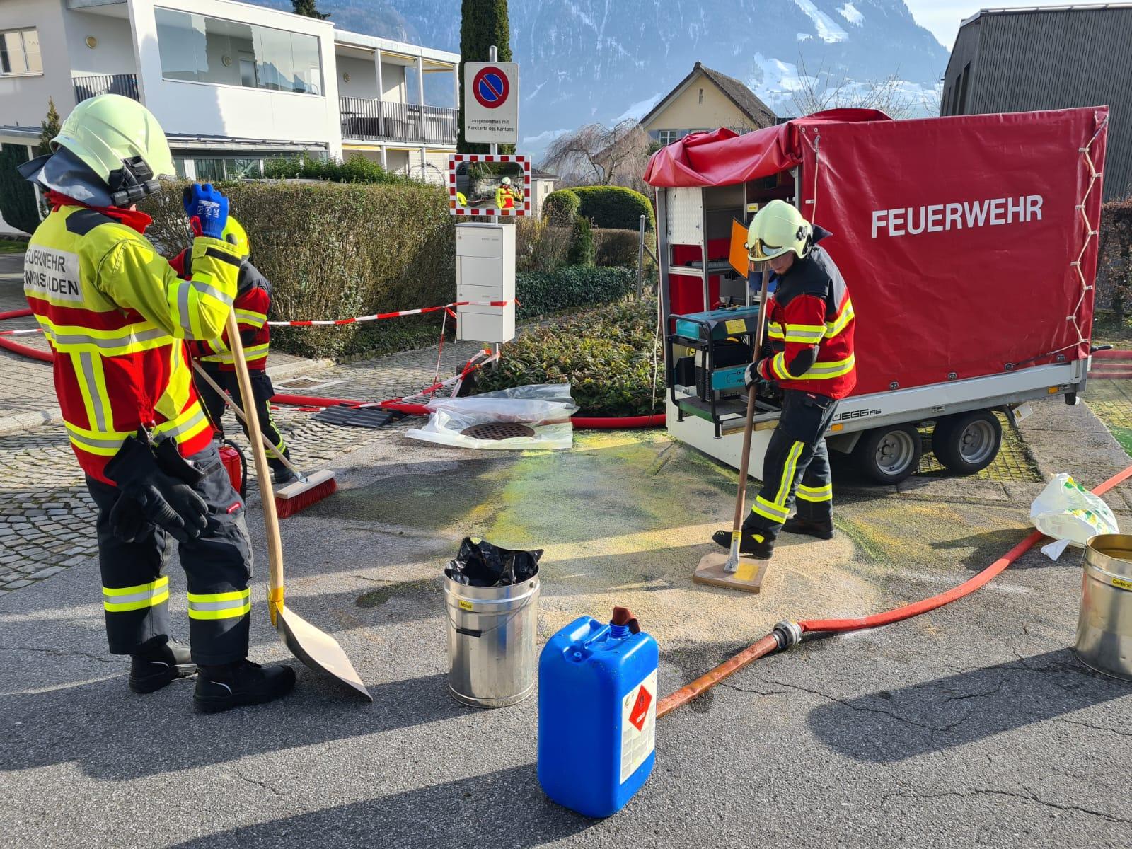 Einführungskurs
