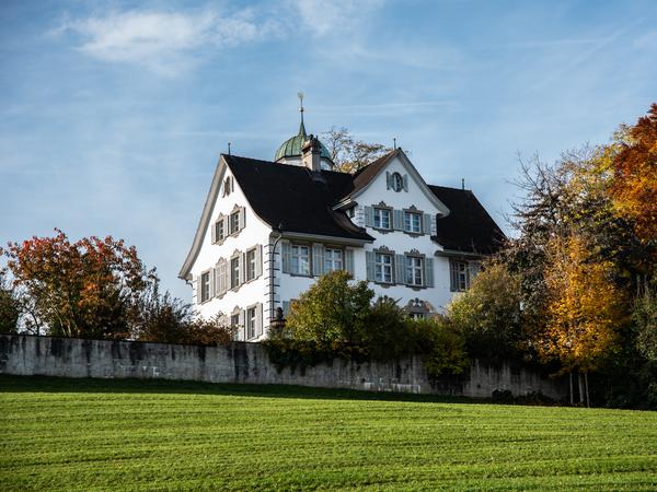 Das Schloss grosser Hahnberg umgeben von herbstlichen Bäumen in den Farben gelb und rot.