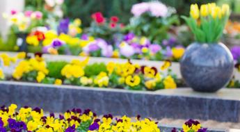Grab mit Blumen