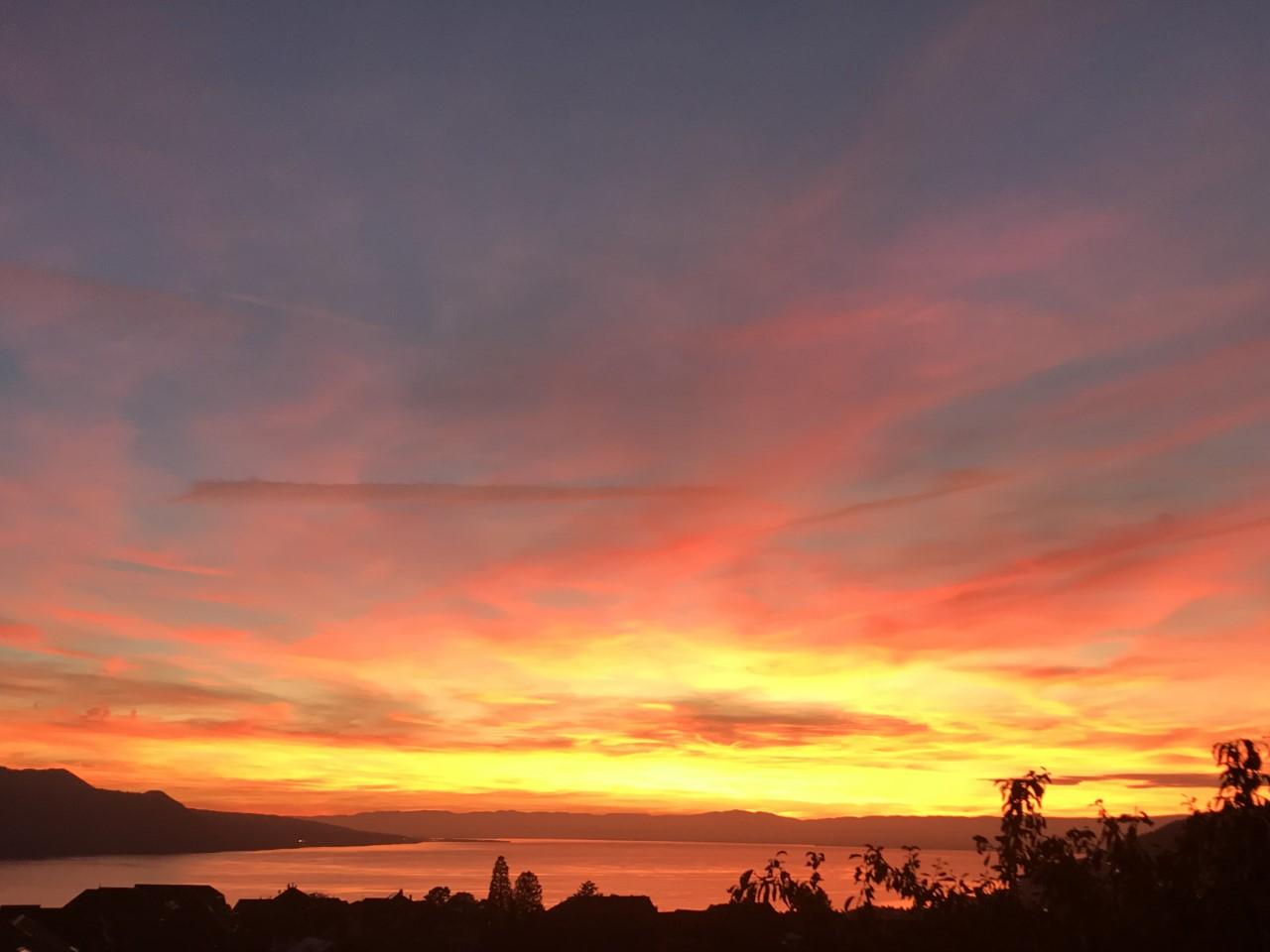04.10.2017