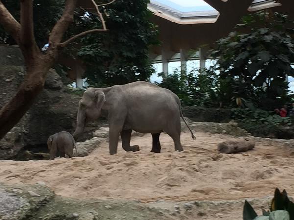 Zoobesuch 2020