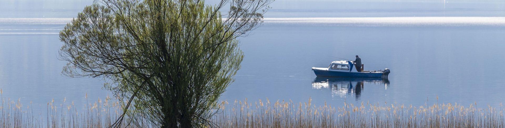 Bewilligungen für Fischereipatente