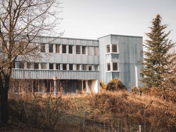 Buholz