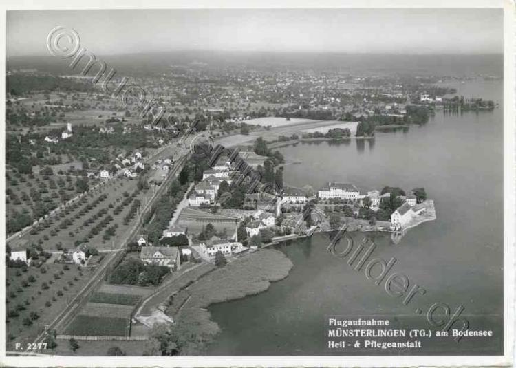 1951