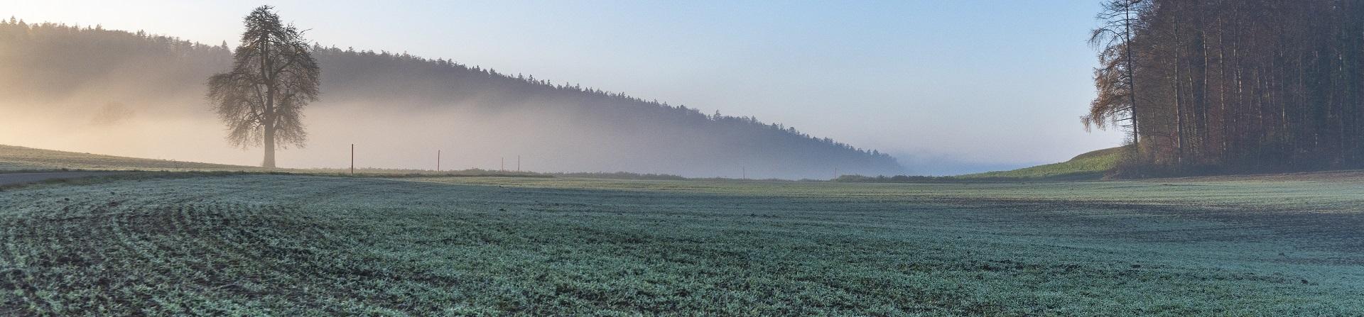 Rubrikbild
