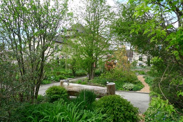 Garten