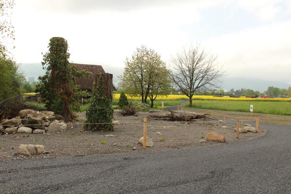 Aufwertungsmassnahmen Schochenmühle