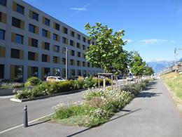Rue de la Blancherie ouest