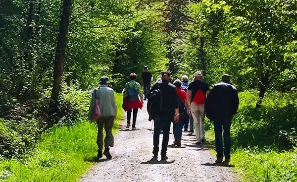 Zäme go Laufe  60+  Via Rhinsberg nach Eglisau. 8.7 Km.