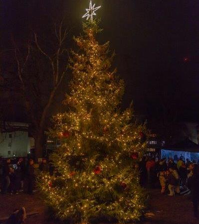 Weihnachtstanne
