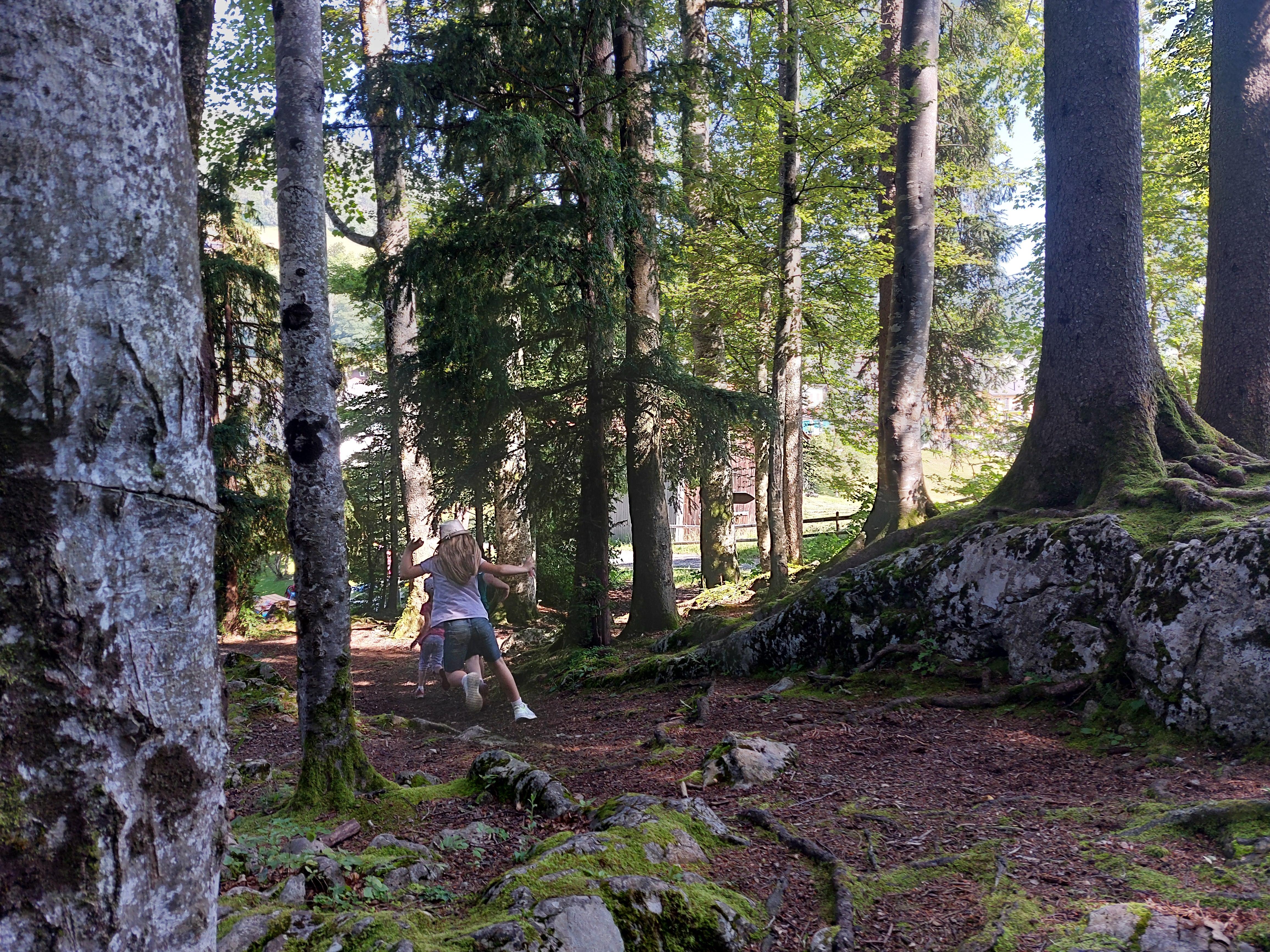 Spielplatz beim Tannwald in Seelisberg