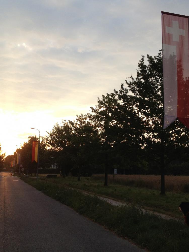 Paysage de Pregny