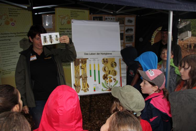 Beim Bienenstand