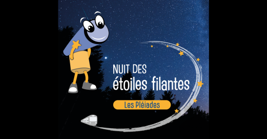 Nuit des étoiles filantes 2026