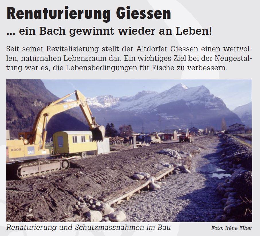6_Einblick_Renaturierung_mit_Fischunterstand.JPG