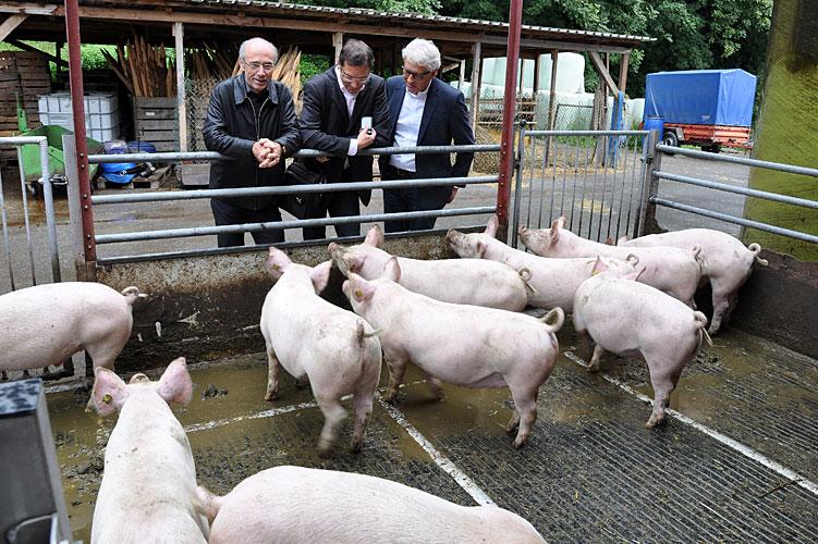 Besuch im Werkheim Wyden in Balgach, der ältesten Institution im "Verein Rhyboot", wo auch Landwirtschaft hautnah erlebt werden kann.
