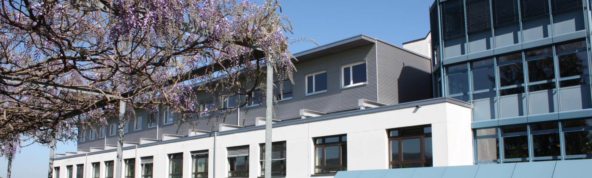 Spital Dornach