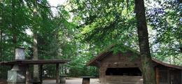Wald