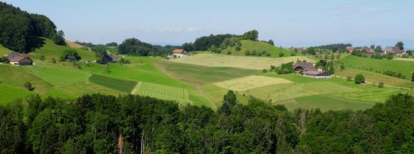 Mistelberg, Foto Hans Schuler