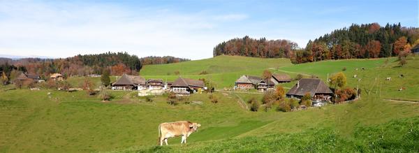 Hohtannen, Foto Hans Schuler