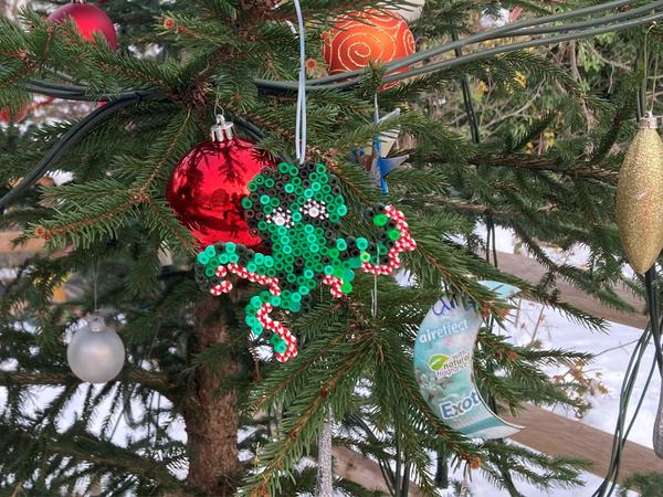 Weihnachtsbaum in den Quartieren
