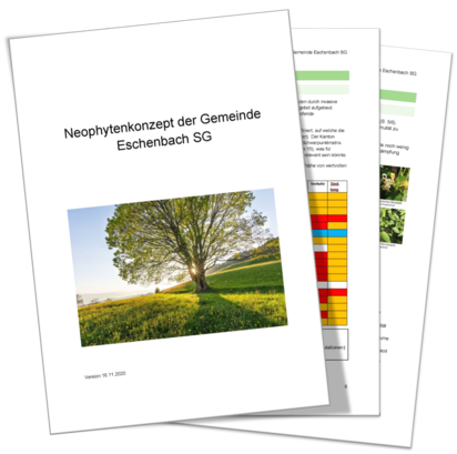 Neophytenkonzept Gemeinde Eschenbach