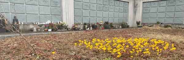 Urnenwand Friedhof Zwingen