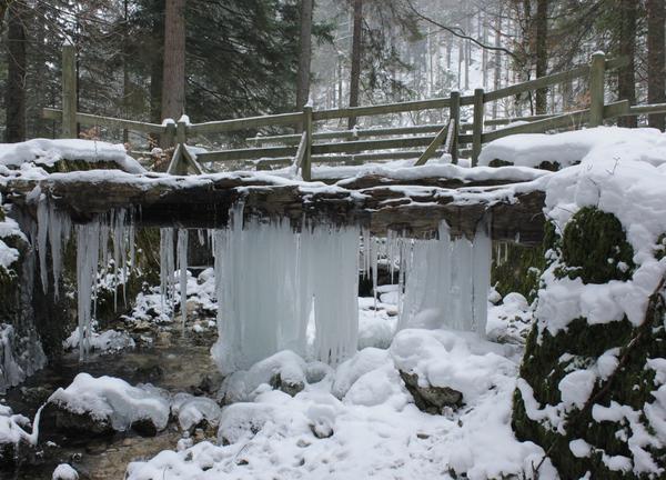 Vallorbe nature hiver