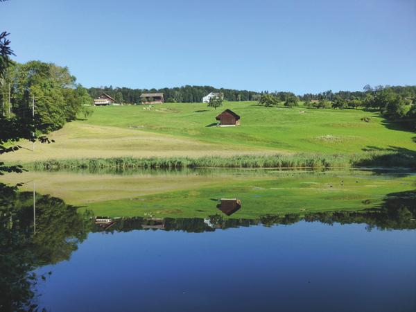 Siessenweiher