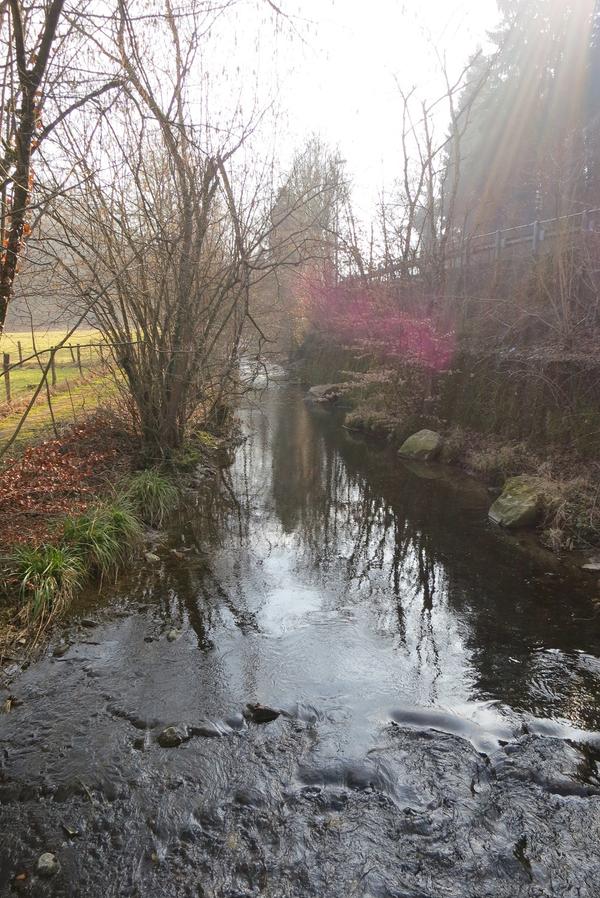 Etzgerbach