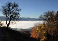 Herbst mit Nebel
