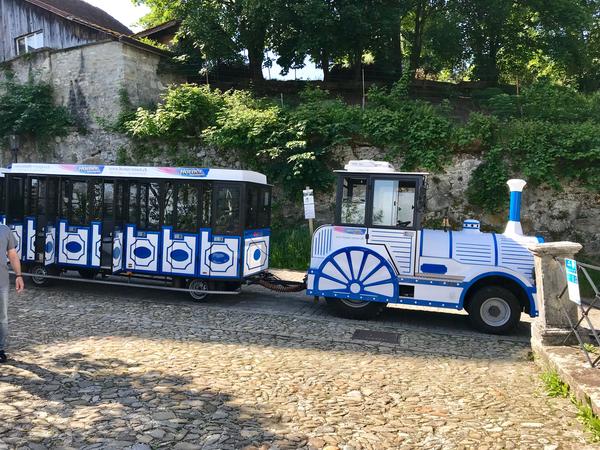 Jahresausflug Frauen- und Mütterverein nach Fribourg
