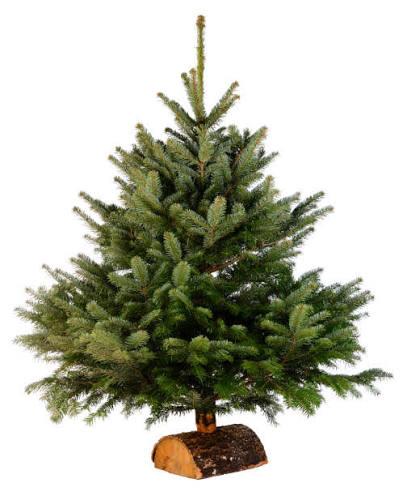 sapin de Noël