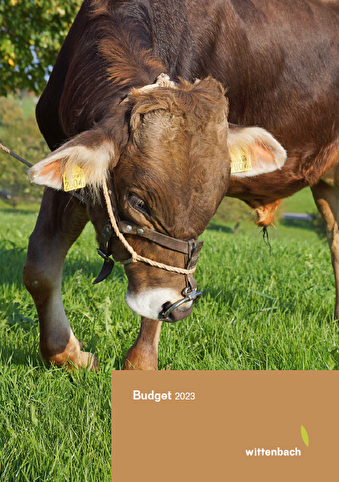 Budget 2023