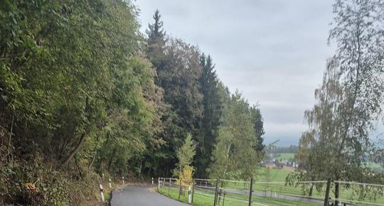 Vollikerstrasse 