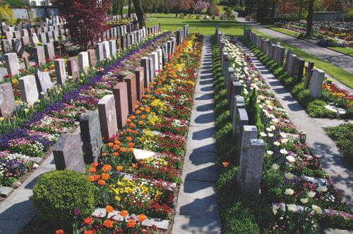 Erdgräber auf dem Friedhof Wald