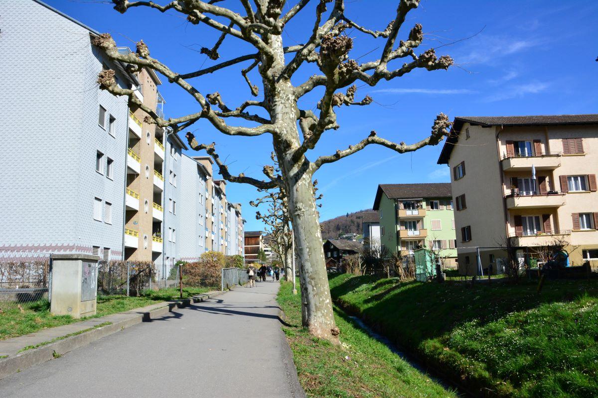 Schöngrund Riedmatt Horw