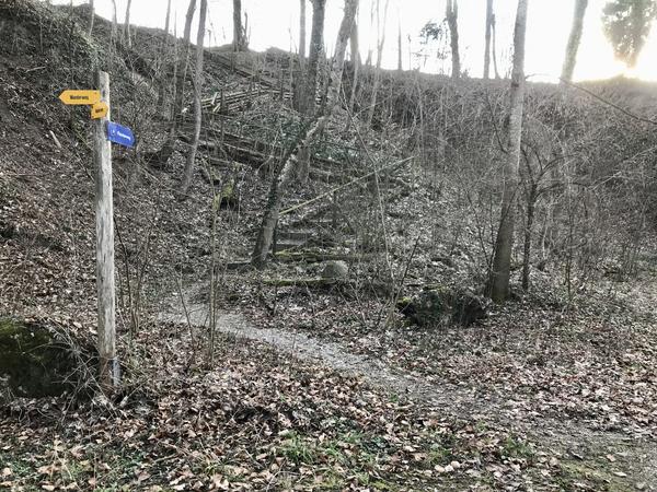 Schlossrundweg Kyburg-Mülau; Nr. 02: Tobelweg