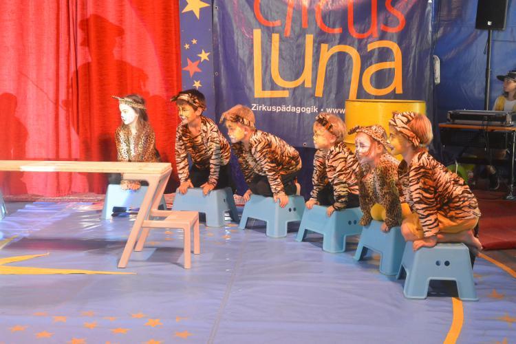 Die Löwen und Tiger haben sich in der Manege versammelt