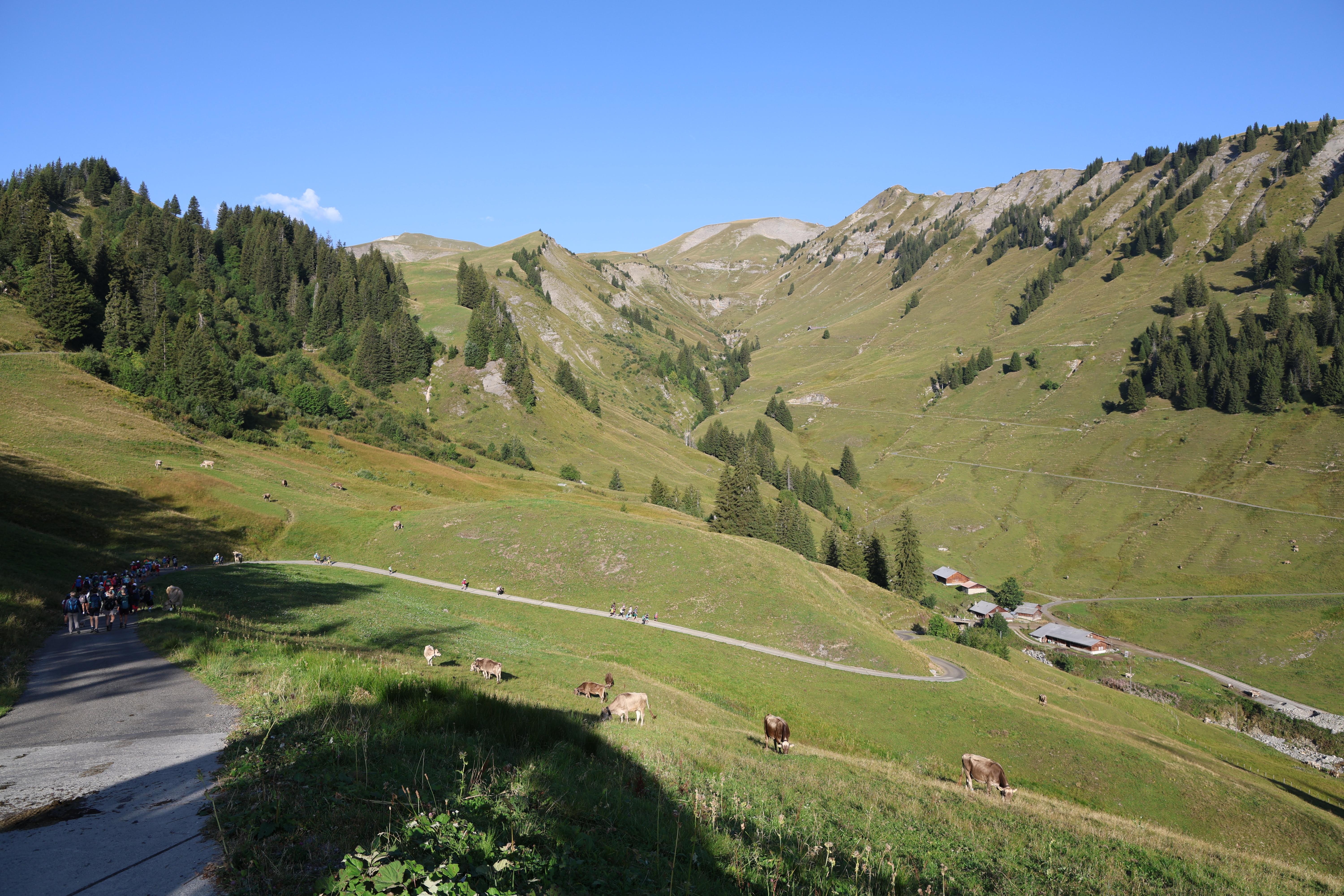 Herbstwanderung 2026 - Zyklus 2