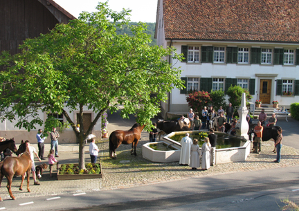 Metzerlen-Mariastein