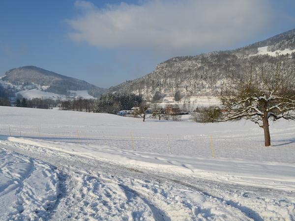 Winter