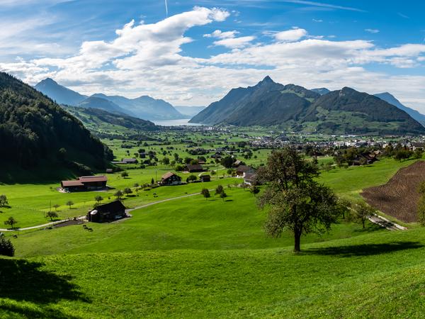 Frühlingsbild